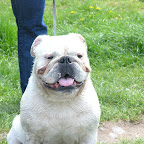Győr 2010.04.18 103.JPG
