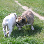Győr 2010.04.18 141.JPG