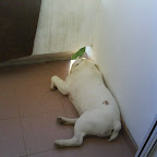 DSC00288.JPG