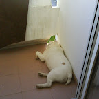 DSC00287.JPG