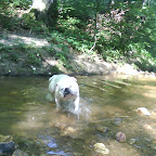 DSC00573.JPG