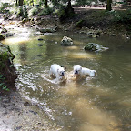 100_4206.JPG