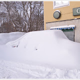 Vinter 2010