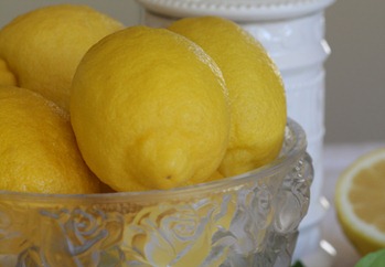 lemon1 lemon1