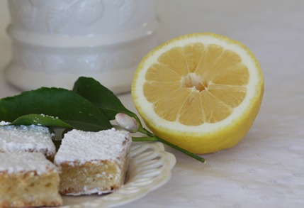 lemon2 lemon2