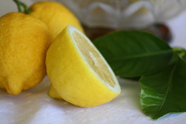 [lemon104.jpg]