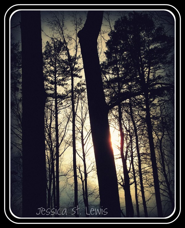 [Winter Sunset at the Park[4].jpg]