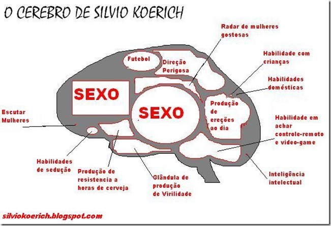 Cerebro Silvio