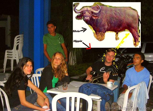 [mijandorodinha[17].jpg]