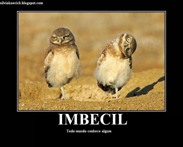[imbecil[16].jpg]