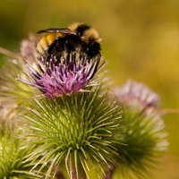 web_IMG_4897