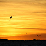 Sunrise as we made our way out on the Caleta Malaspina