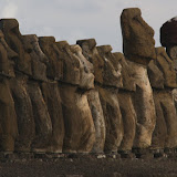 All lined up