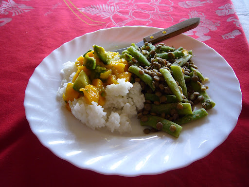 Rice with mango-avocado salsa served with a lentil and green bean salad.  Made with local produce.