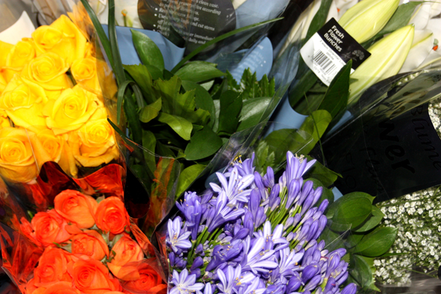 [flowers[1].png]