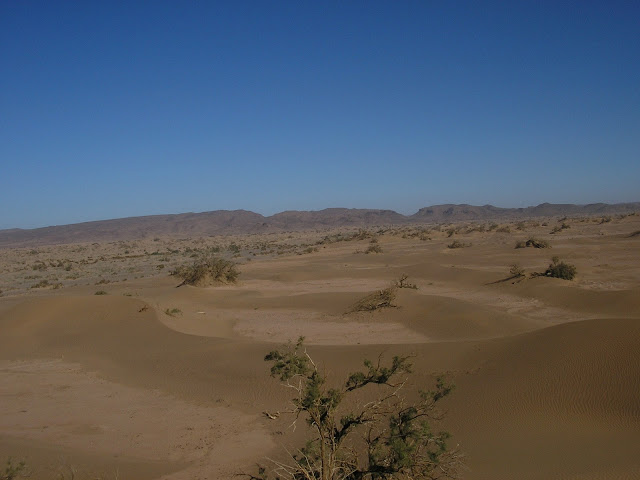 View from a sand dune at a rest stop deeper in the Sahara
