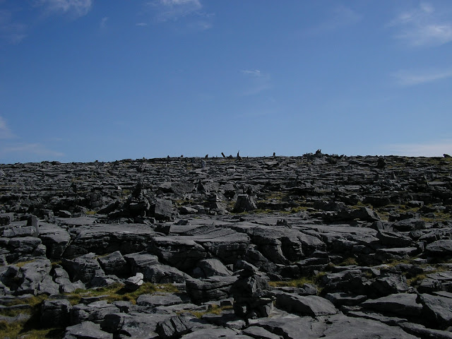 rocks everywhere