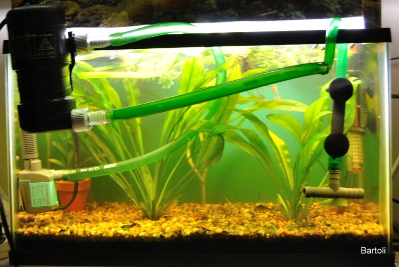 UV sterilizers for small tanks Page 2 Equipment Aquatic Plant Central