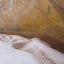101110 Petra - 272.JPG