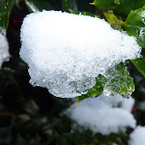 P1000413.JPG