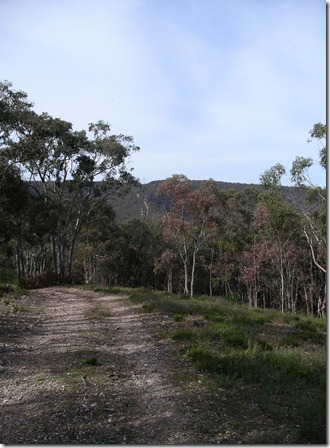 top of Black Hill