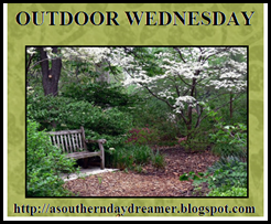 [Outdoor_Wednesday_logo42.png]