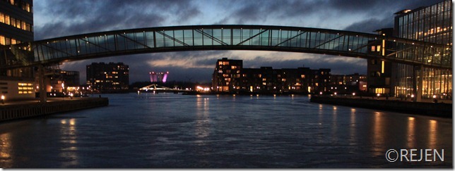 IMG_1298 IMG_1298