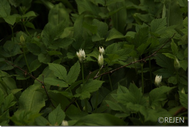IMG_4764 IMG_4764