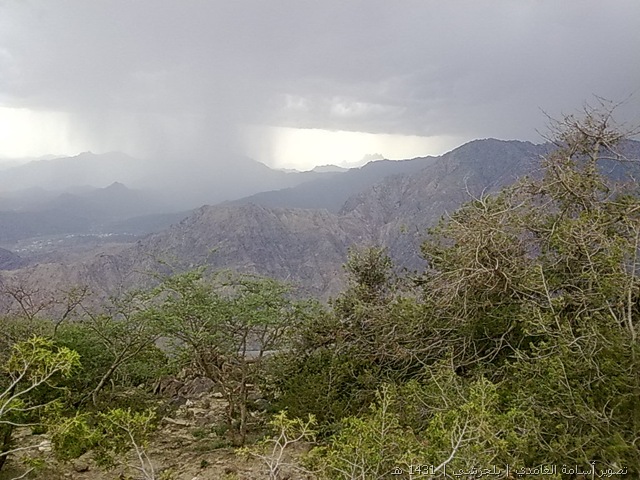 [270420101069[27].jpg]