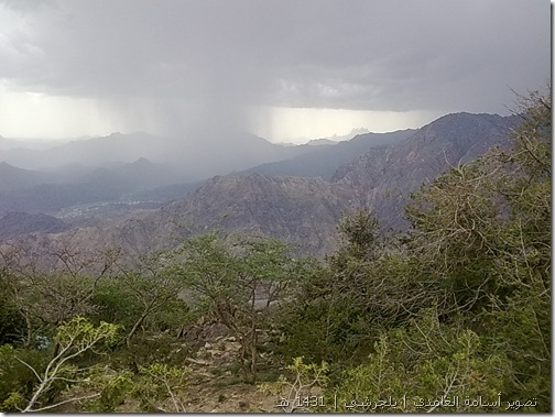 أم غيث , بلجرشي