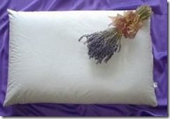 Organic Aromatherapy Buckwheat Pillow