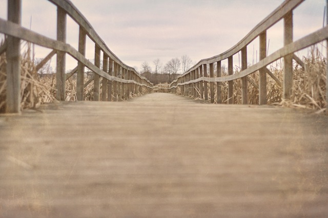 [bridge2[4].jpg]