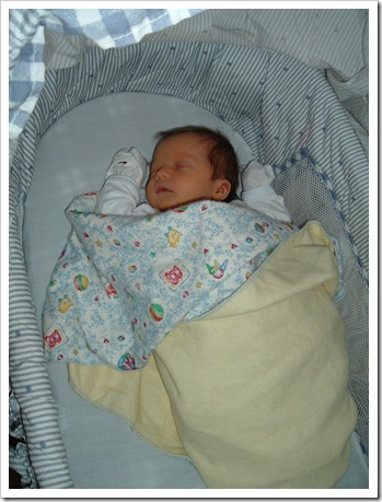2004 0115 Hyrum sleeping in bassinette