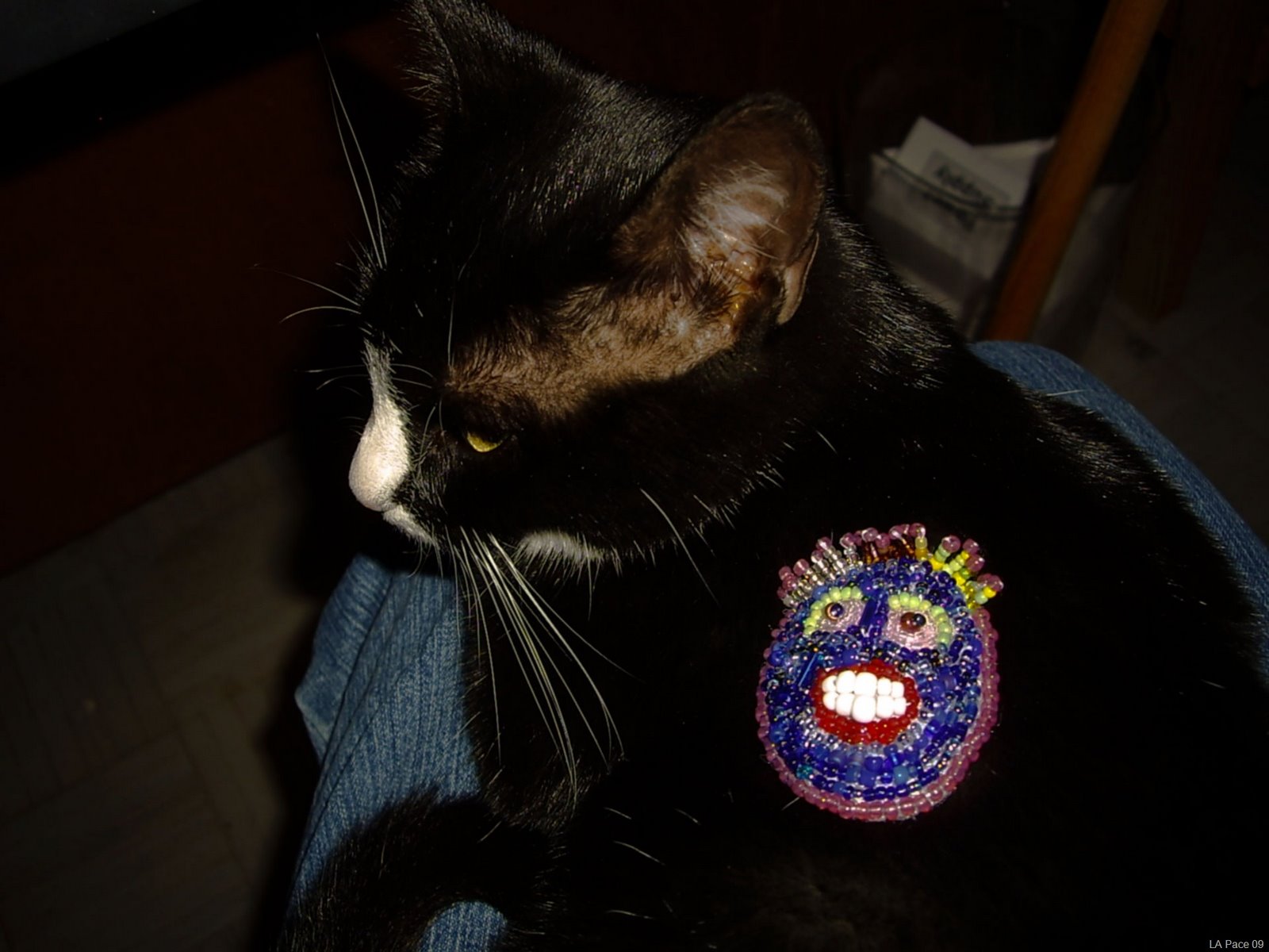 [Blue-Guy-meets-littlest-studio-cat[13].jpg]