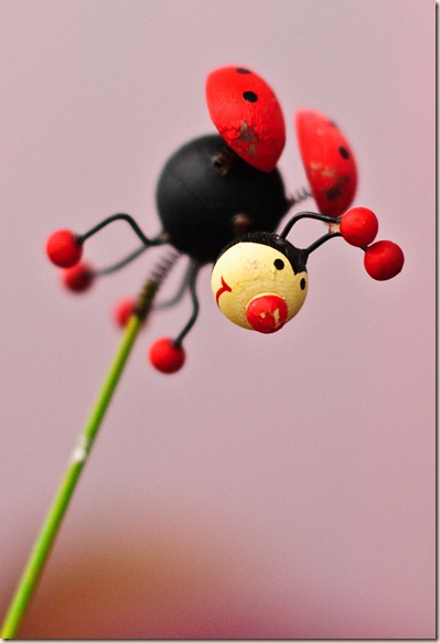 proof-of-fun-decoration-bug-balcony-2