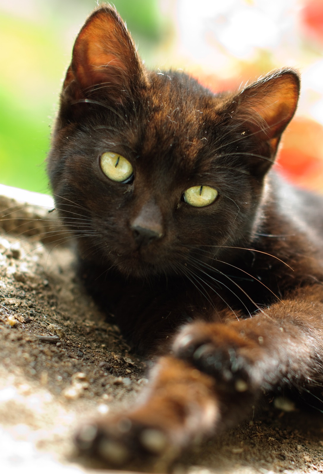 [DSC_0131[8].jpg]