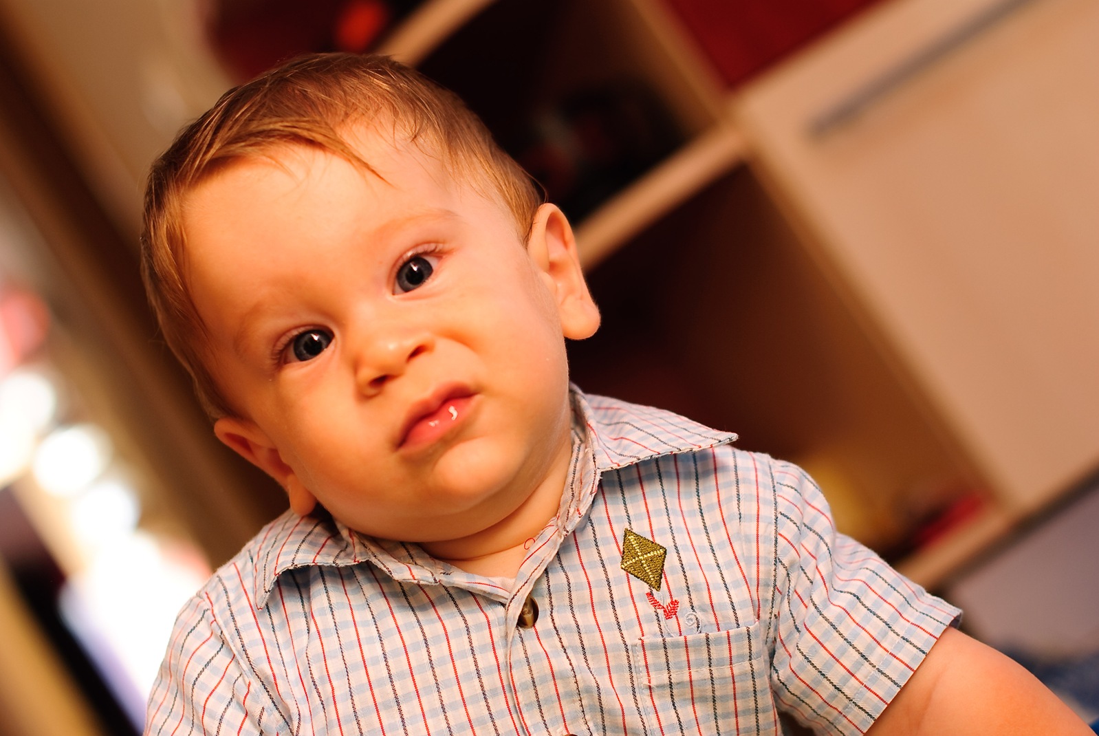 [DSC_0086[5].jpg]