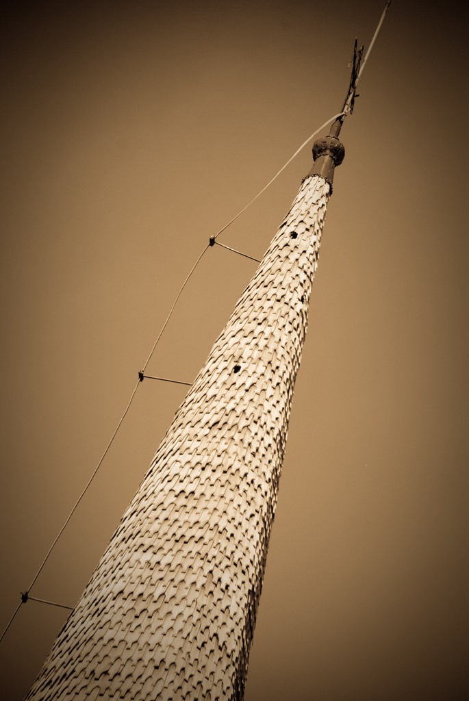 [DSC_00295.jpg]