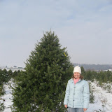 December Pictures