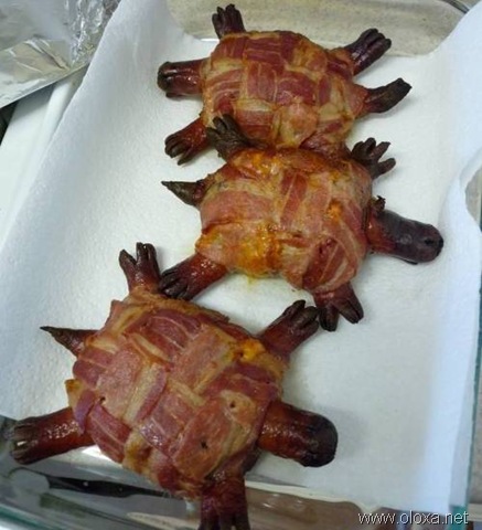 [turtle-burger-0[5].jpg]