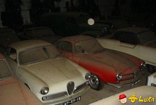 dusty-rare-car-collection-2-11 dusty-rare-car-collection-2-11