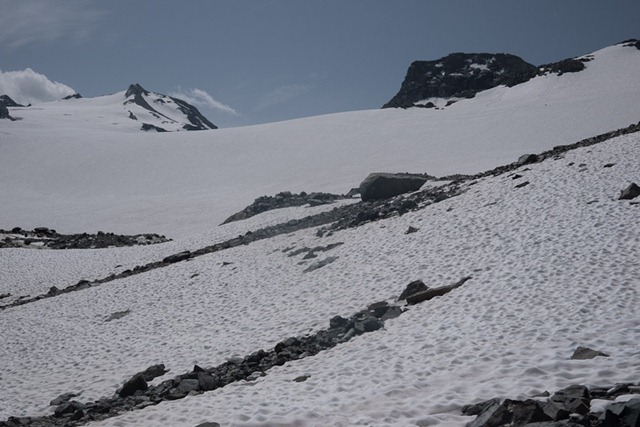 [P1010740[2].jpg]