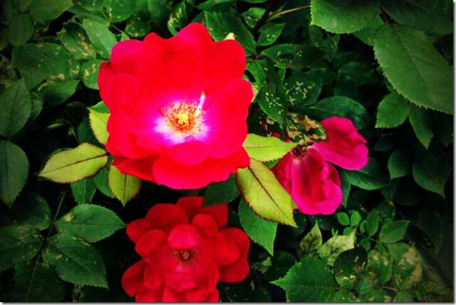 FxCam_1305134897884