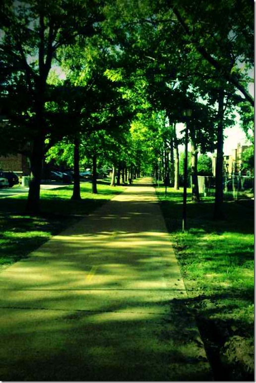 FxCam_1305239245570