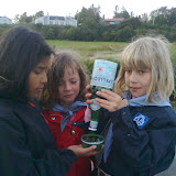 Bl&aring;mejserne p&aring; stranden