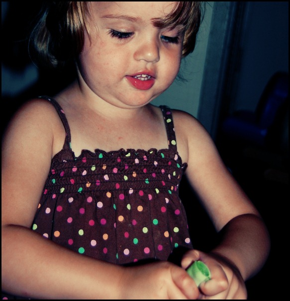 DSC_1739 DSC_1739