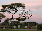 Schöne Sonnenuntergang und Vollmond Stimung am Pool des Onguma Busk Camp Schöne Sonnenuntergang und Vollmond Stimung am Pool des Onguma Busk Camp