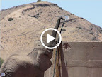 Wüstenelefanten beim trinken, "die Riet" am Huab Flußbett, Damaraland - Namibia. Wüstenelefanten beim trinken, "die Riet" am Huab Flußbett, Damaraland - Namibia.