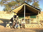 Camp Gecko: Ein Zelt Camp Gecko: Ein Zelt