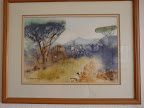 No 2 Botswana Bush N$ 7 500 No 2 Botswana Bush N$ 7 500